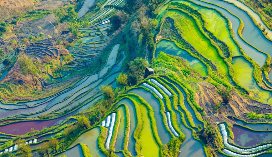 宝妈必备神器：德阳产品视频拍摄轻松育儿好帮手